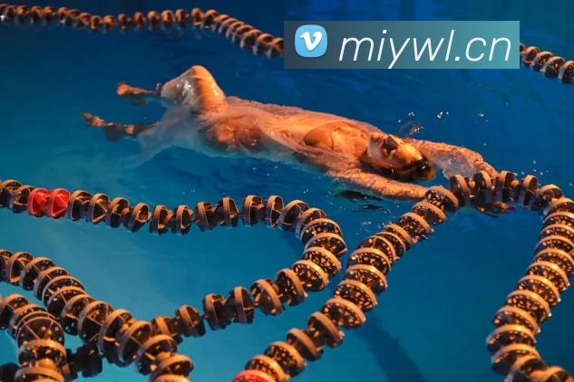 多媒体互动体验